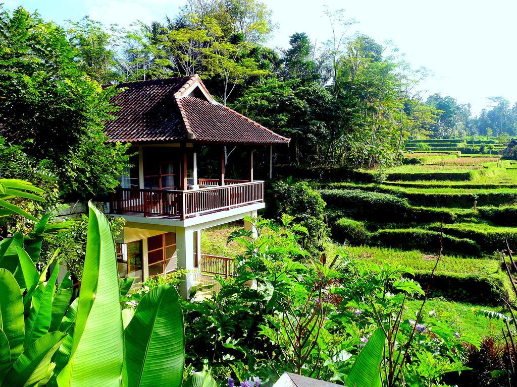 Villa Viola Ubud Exterior foto